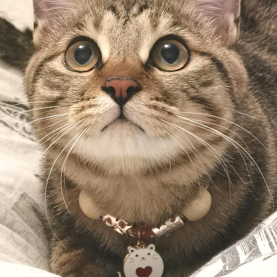 可可奴日
