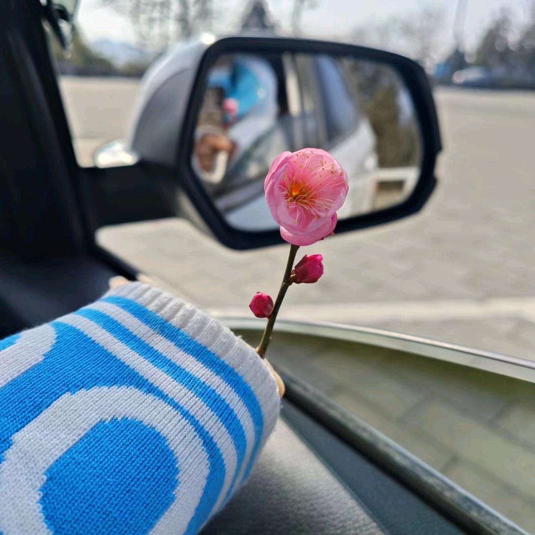 ℒᎭℯ💕₅²⁰萌¹ᶟ₁₄