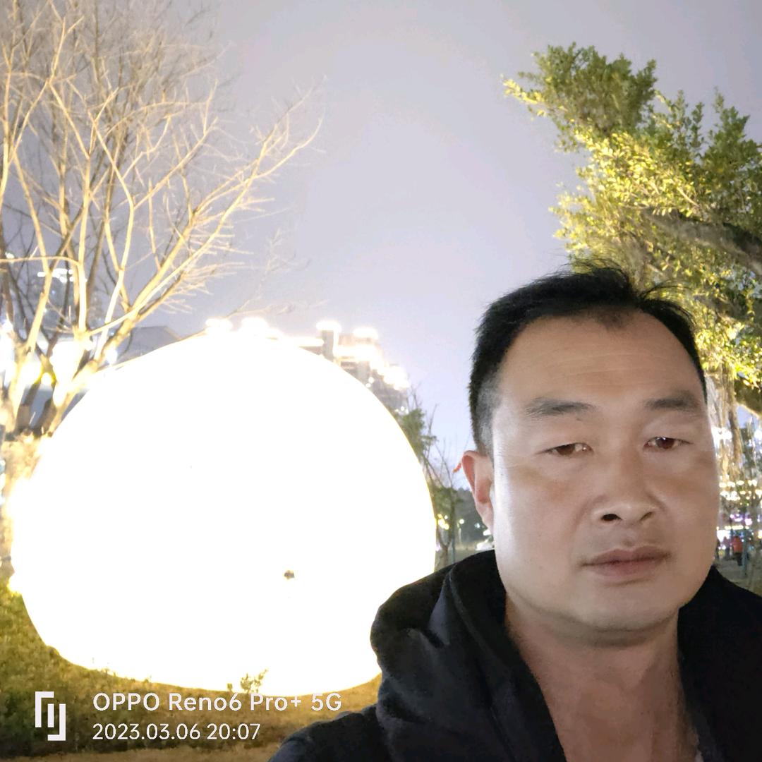 🎶琴勇友李