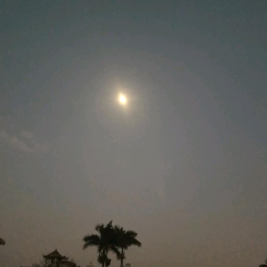 古人云亦云😜😜🤗