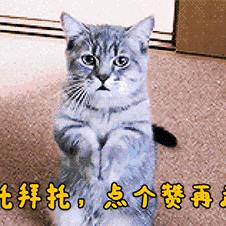 吉祥三宝3