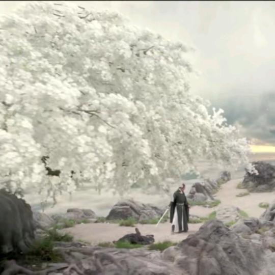 再战辉煌问苍天