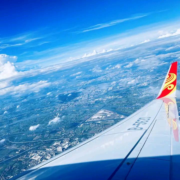 蒲公英努力奋斗