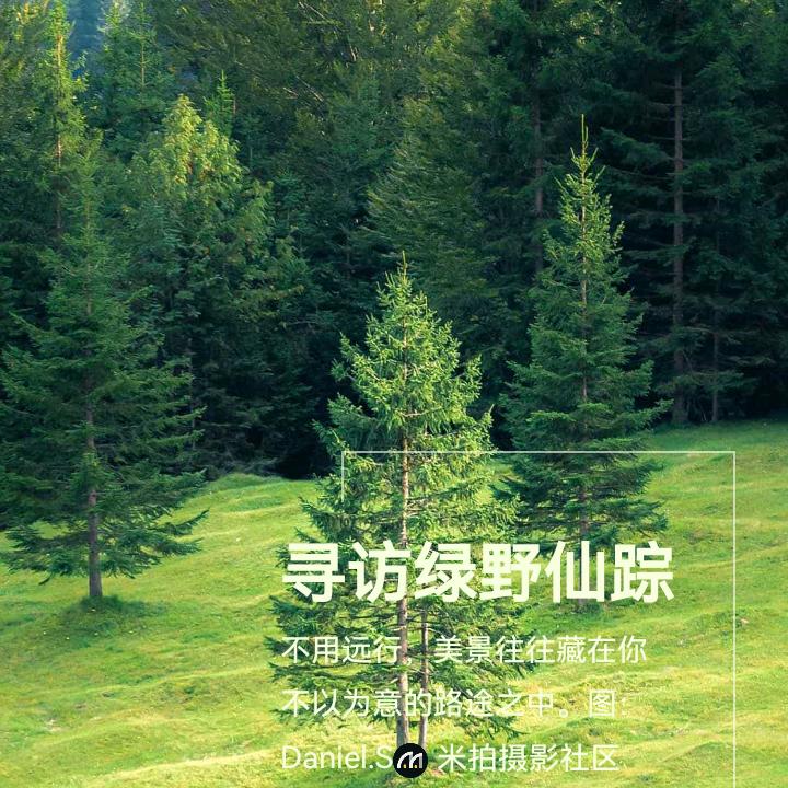 阳光