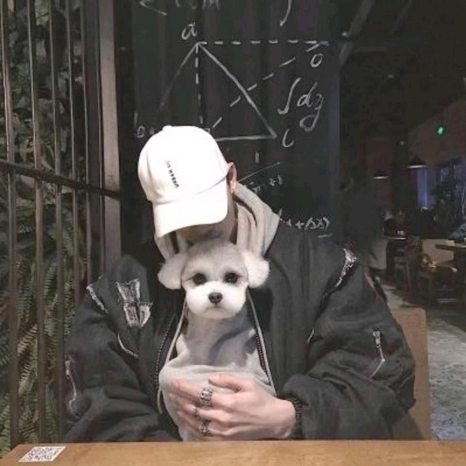 强仔