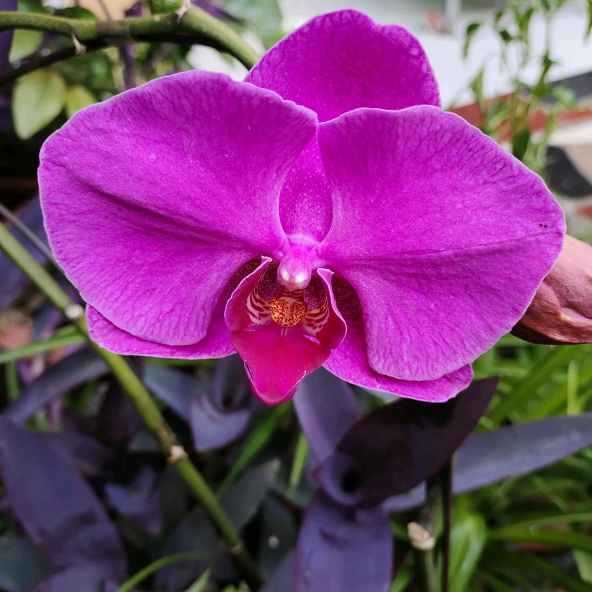 丁丁优质好物分享