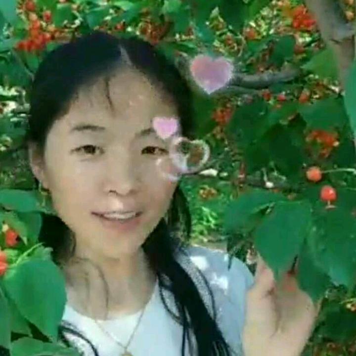赵云