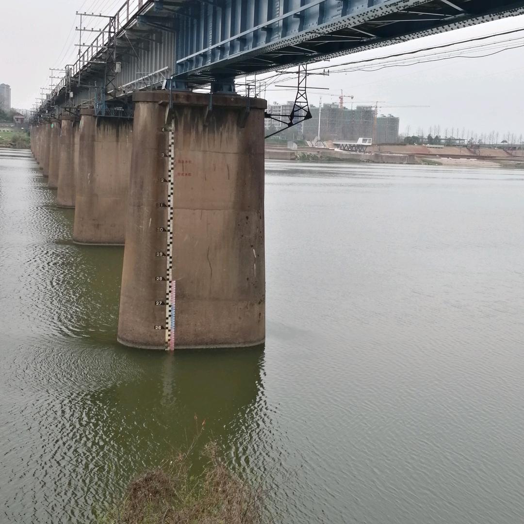 心向自由_风