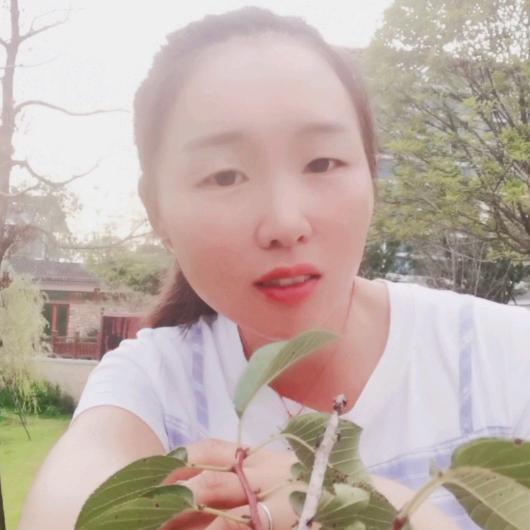 🌹【静 静】🌹