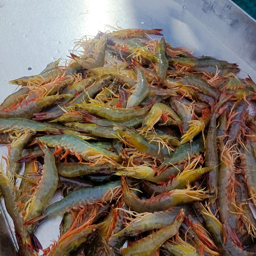 海上渔夫