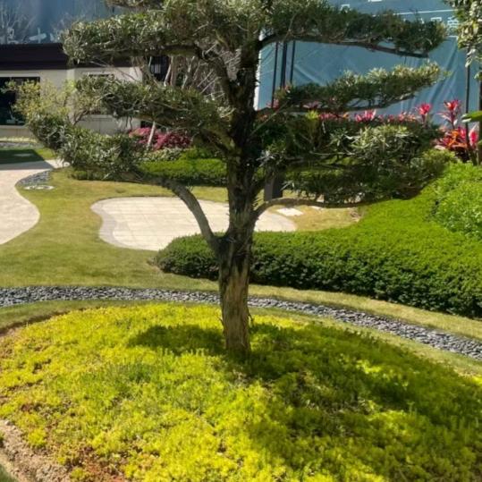 月月妈好物都在橱窗