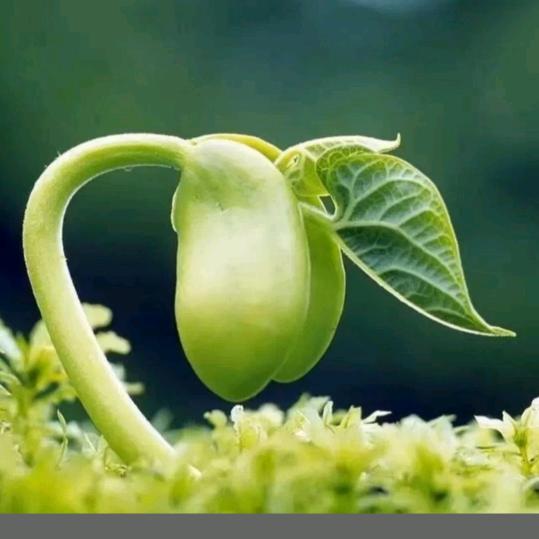 懂甄别去糟糠再来抖一抖