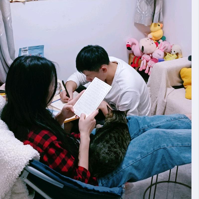 奔跑吧叮叮猫