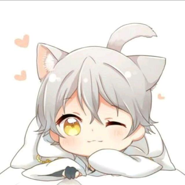 小狼哥