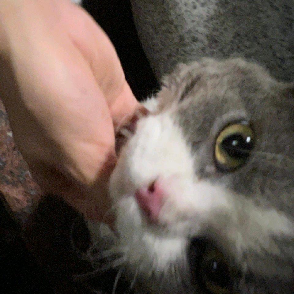 有着落