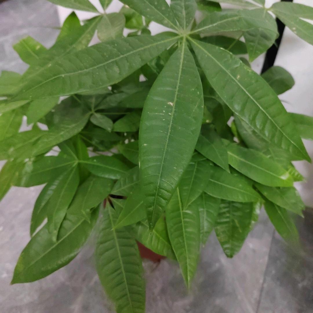 开心过好每一天