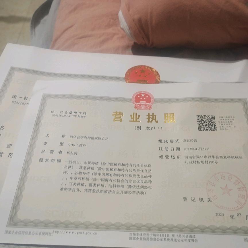 西华县李燕种植家庭农场