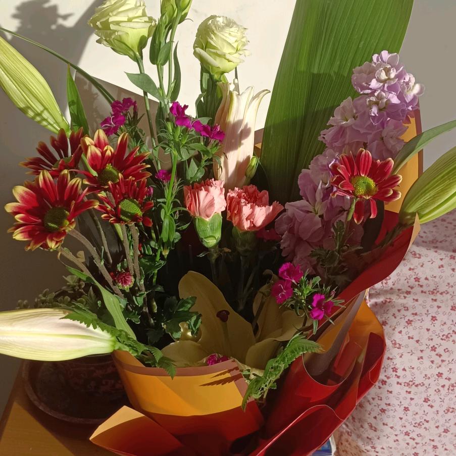 用户2919773522291福福福