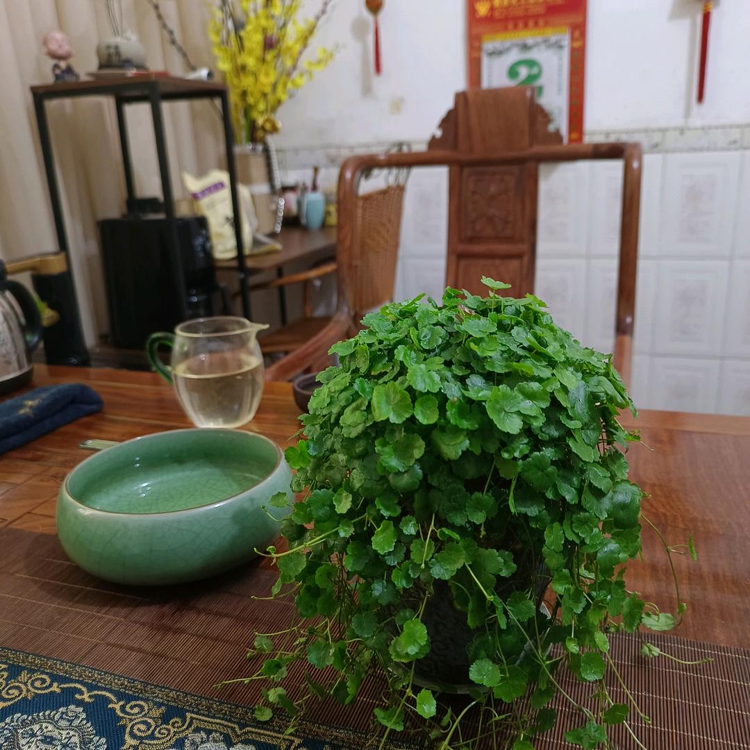 人间