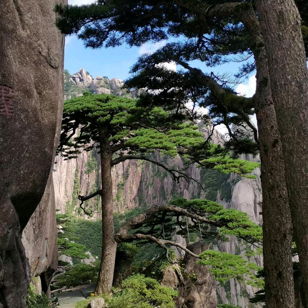劉叔