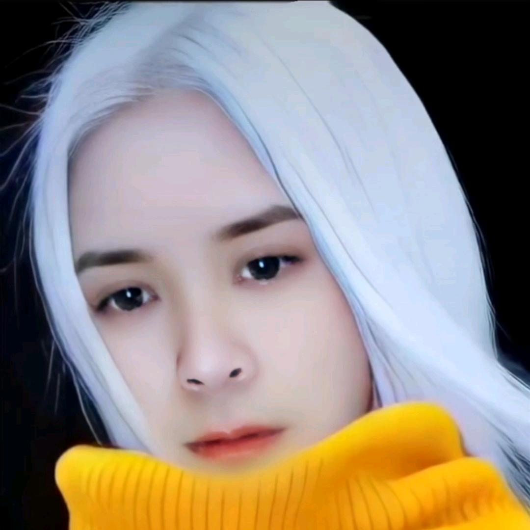 影子《承蒙厚爱》