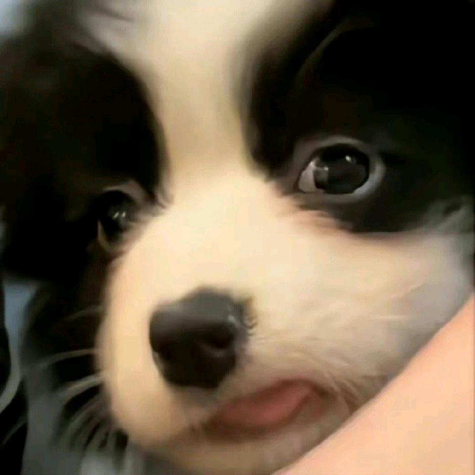 好饿