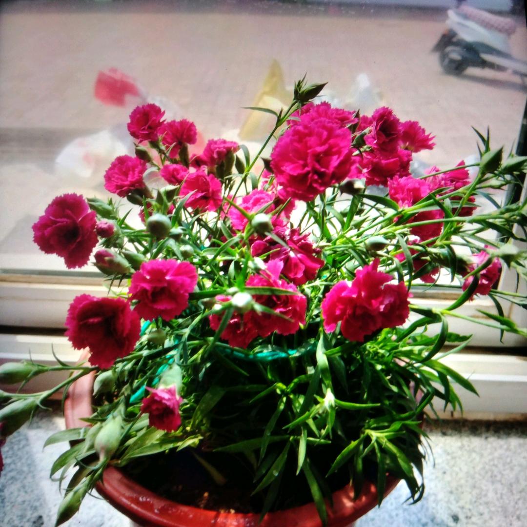 平安喜乐(ღ˘⌣˘ღ)