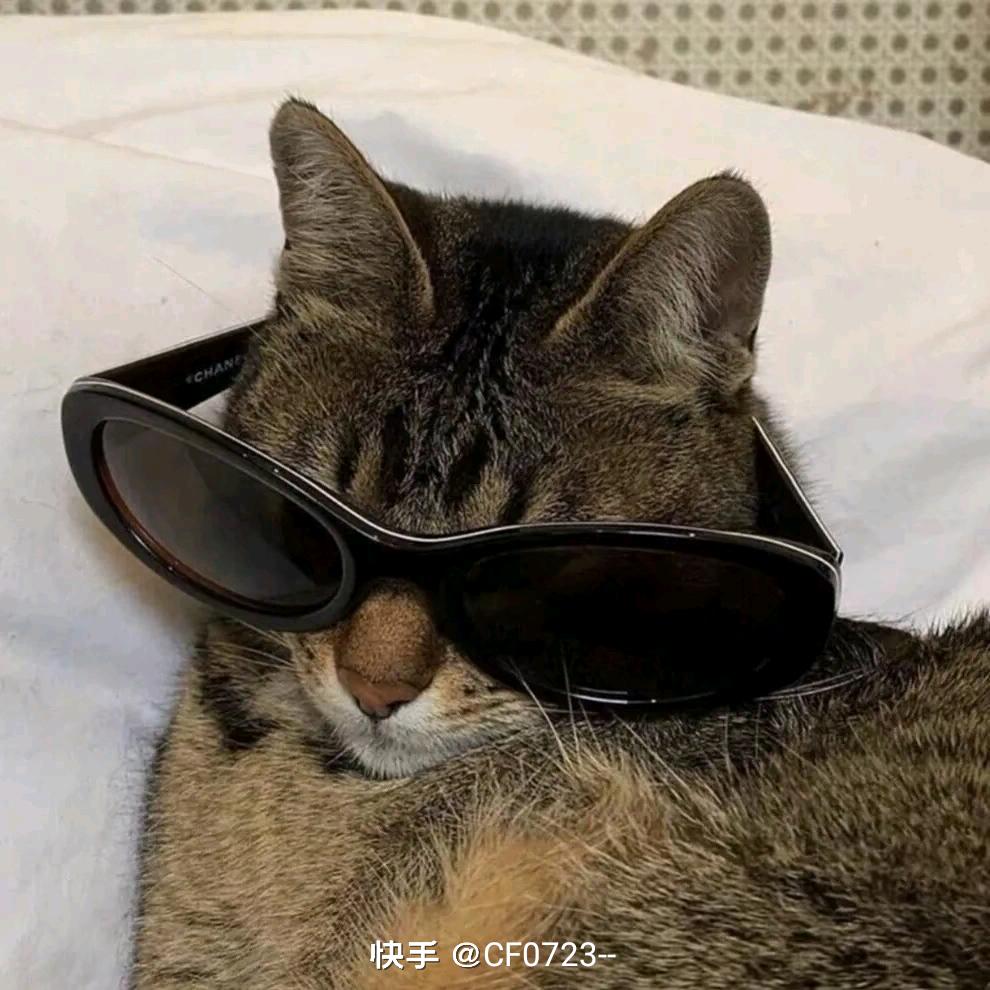 葡萄🎱