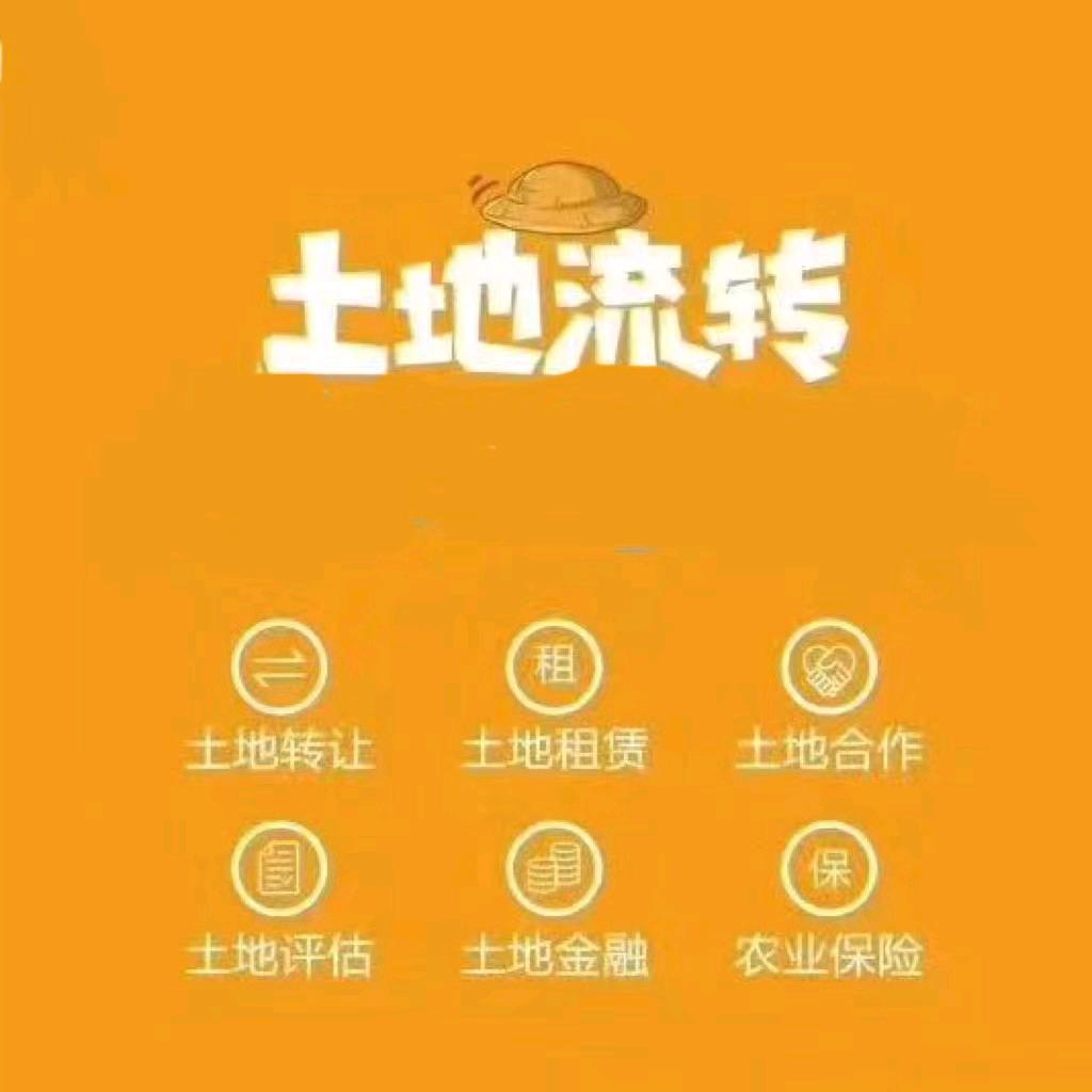 土地网信息咨询