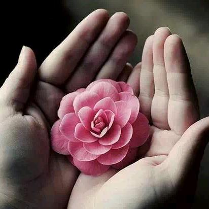 ❀͜͡ 隹弌ꦿ᭄࿐