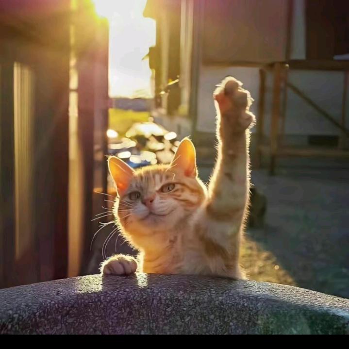 阳光与你。