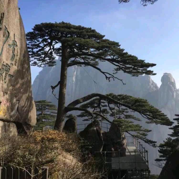 晨曦劳务