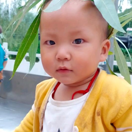 错过缘分错过你