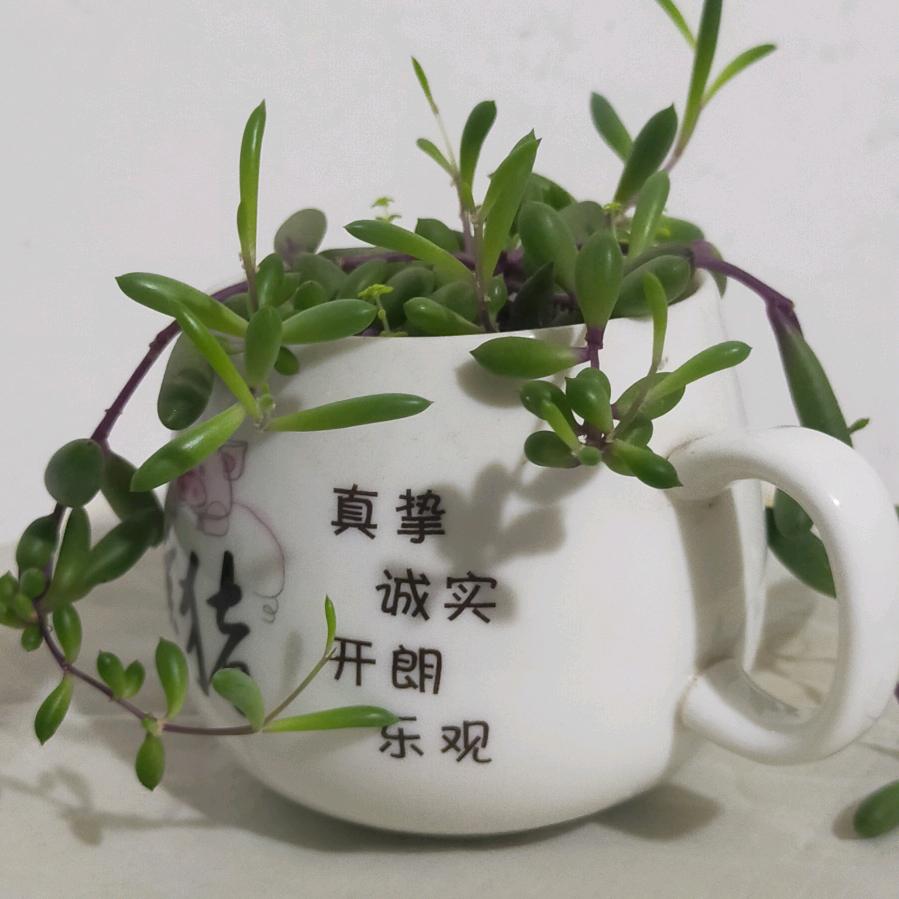 加油