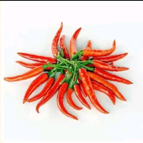 红辣椒🌶️