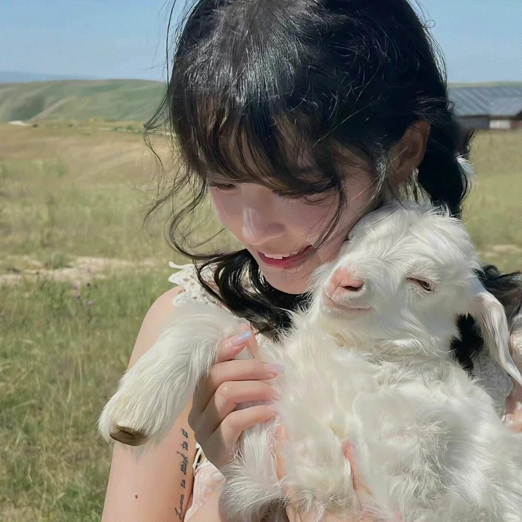 黄心猕猴桃🥝（干饭版）