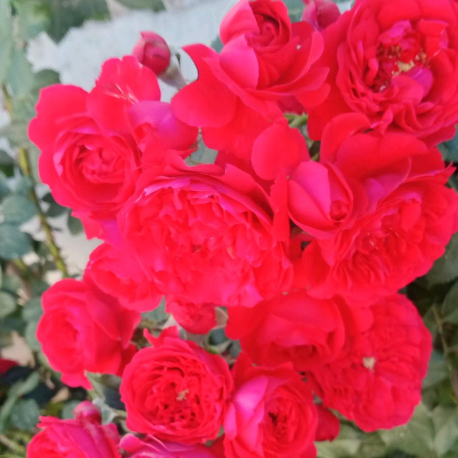 家和万事兴767867966830