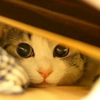 段冰