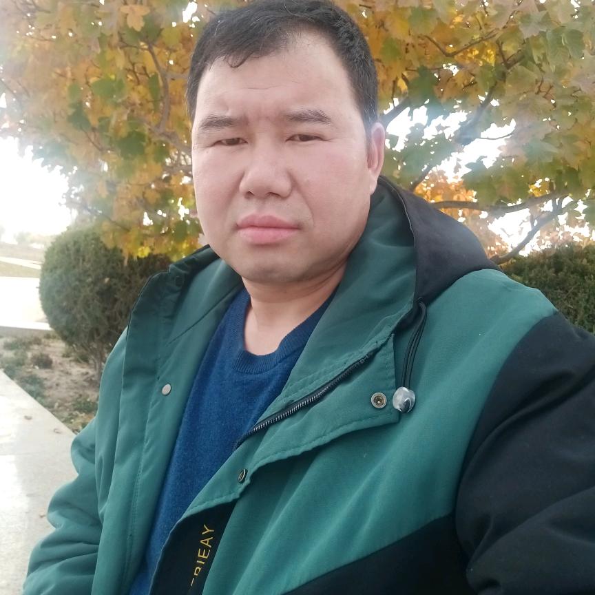 何氏家族