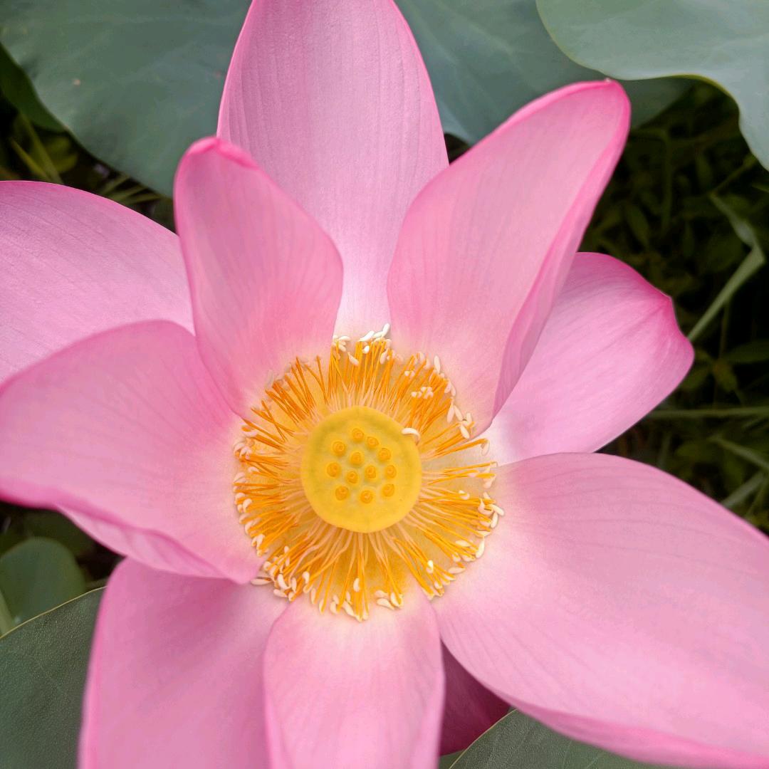 芳用户1214915282208