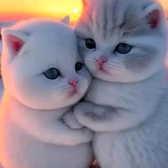 ❤❤❤❤