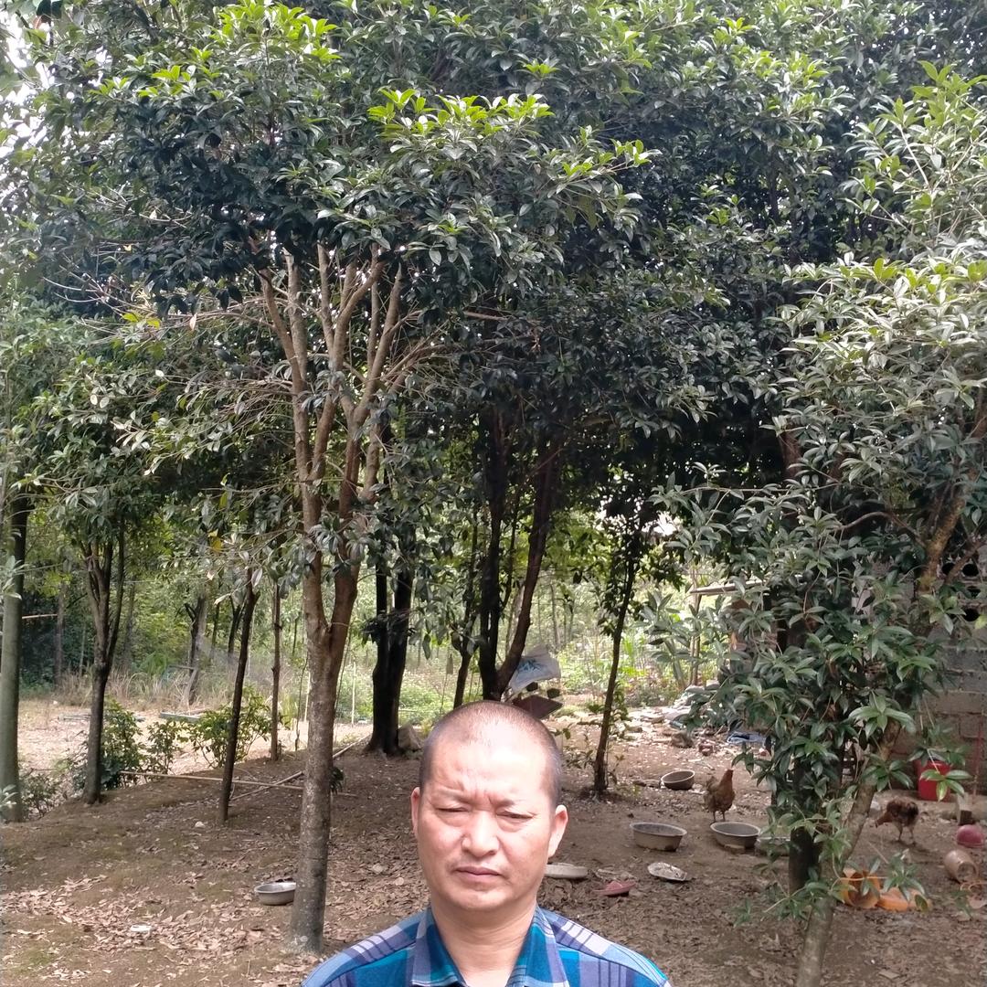 我来自贵州省兴仁王俊，《不定时开直播》