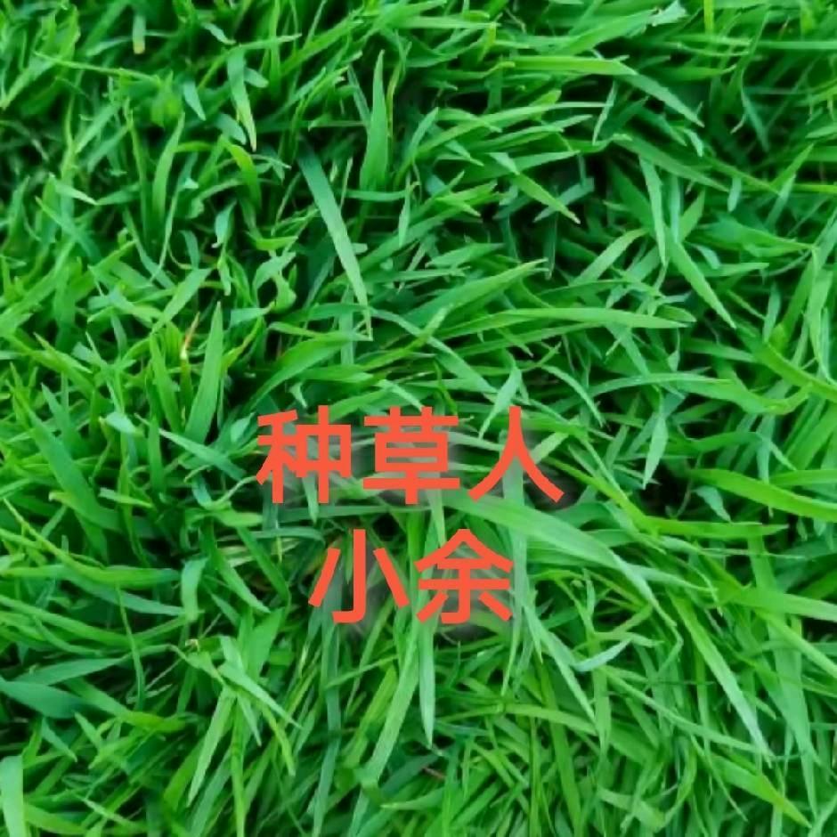 @种草人&小余