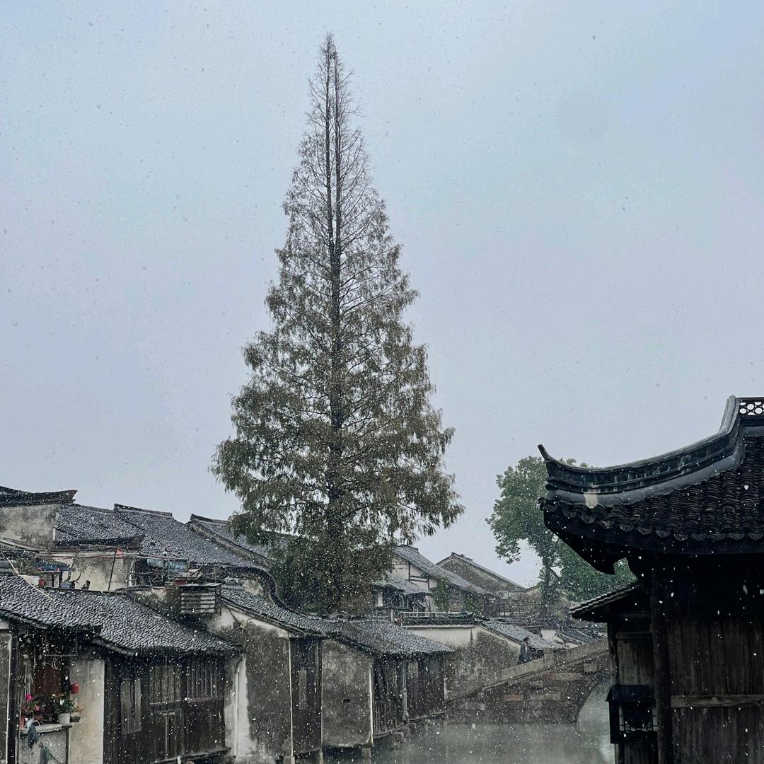 小欢喜