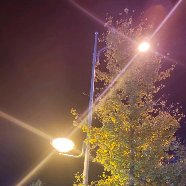 🎊你管我乖不乖🎊（豫R）