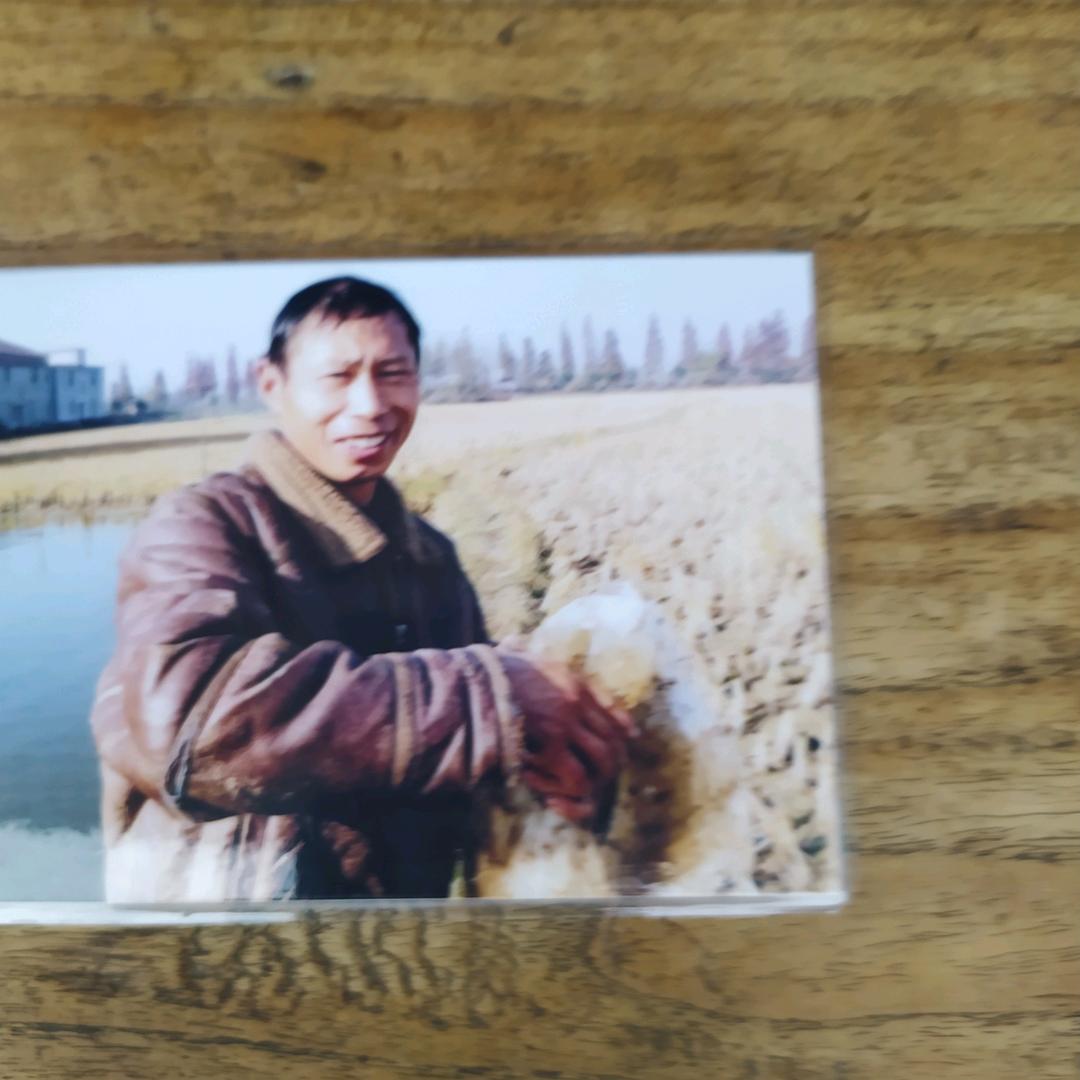 中兴涂冬保