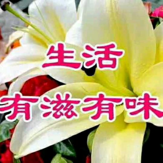 洪洞南营批发羊杂走滨河路南口往东走第一家