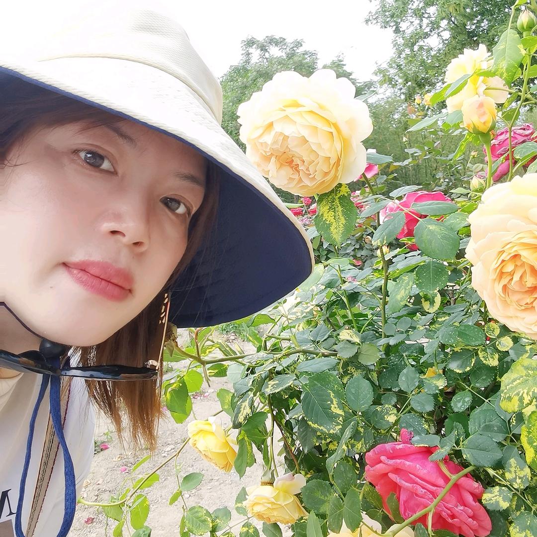 萌面的胖妞