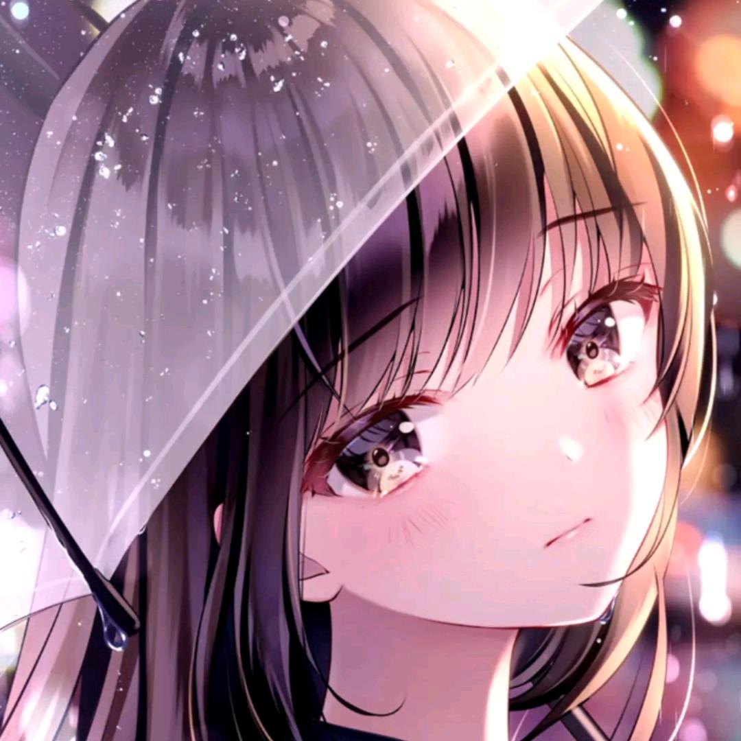 颖家小宝