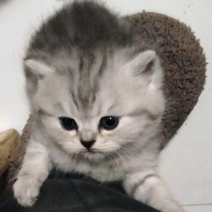 杰o.O